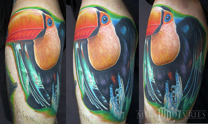 Mike DeVries - Toucan Tattoo